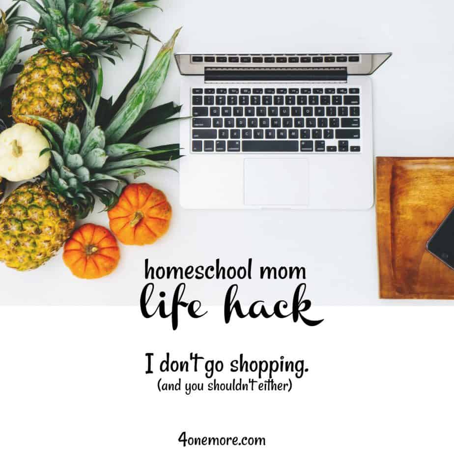 homeschool mom life hack :: grocery shopping online :: productivity :: 4onemore.com