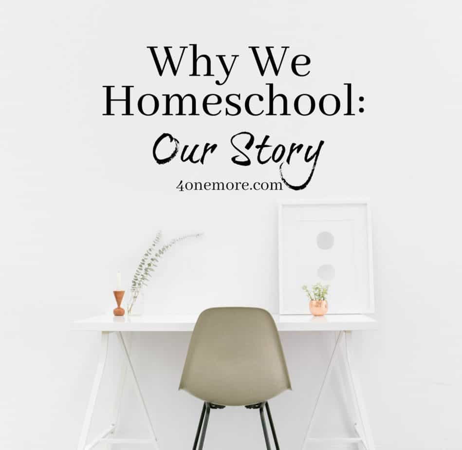 There are dozens of reasons why families choose to homeschool. Here's our story. Why We Homeschool @4onemore.com