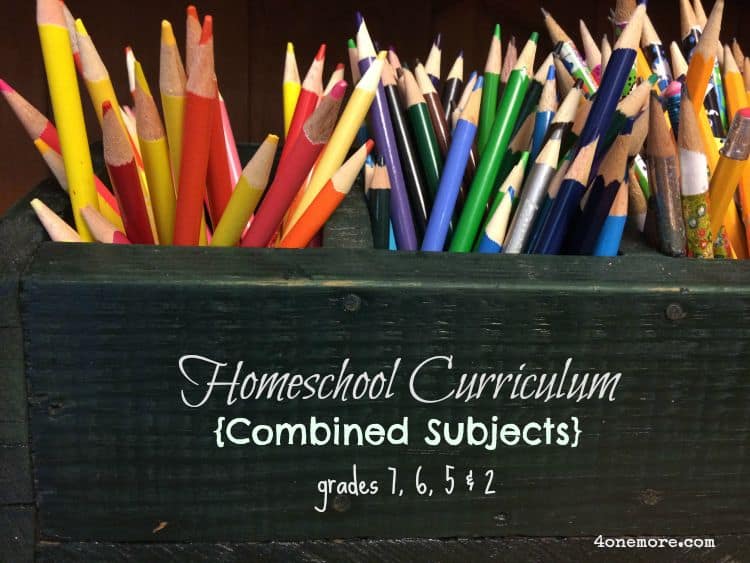 Homeschool Curriculum Combined Subjects {Grades 7, 6, 5 & 2}