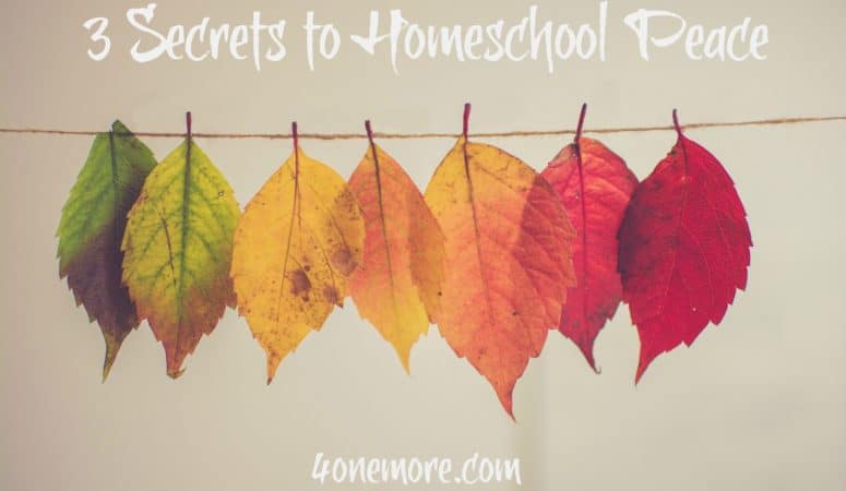 3 Secrets to Homeschool Peace