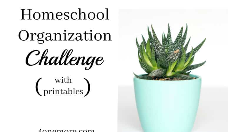 Homeschool Organization Challenge