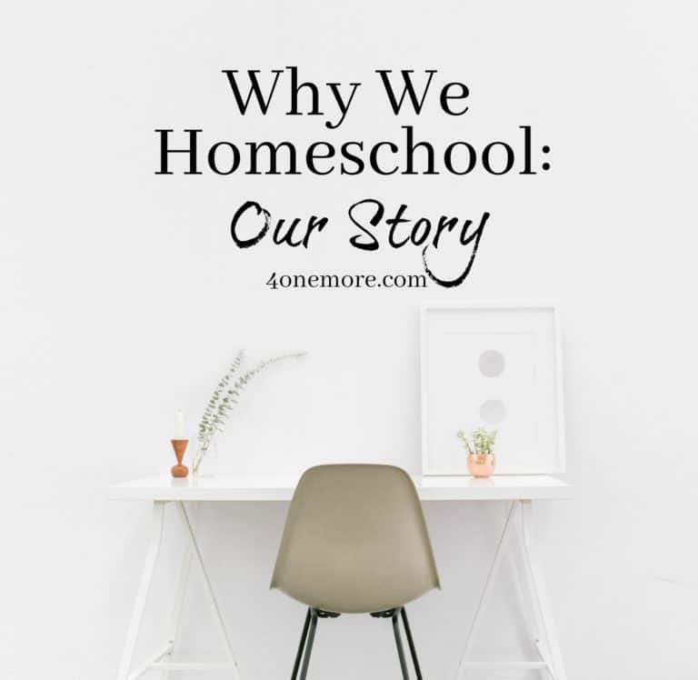 Why We Homeschool: Our Story