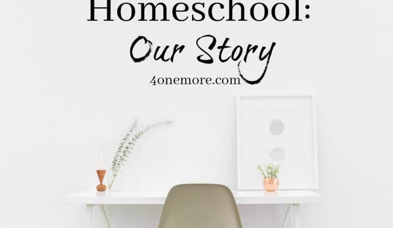 Why We Homeschool:  Our Story