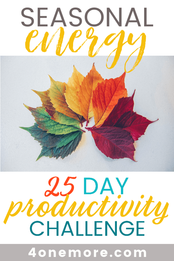 Learn to notice the natural ebbs and flows of your seasonal energy to be more productive - the times of year when you are motivated to get things done.