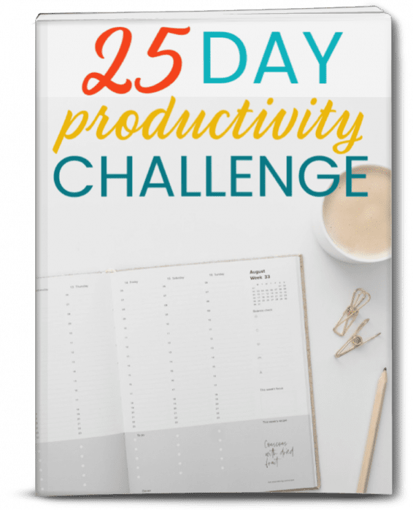 25 Day Productivity Challenge Workbook