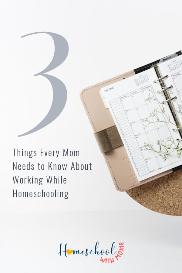 While homeschooling is definitely a task that requires you to be "all in," that doesn't mean that you can't also make time to work on the side (or even full time!).  Here are 3 things every mom needs to know about working while homeschooling.