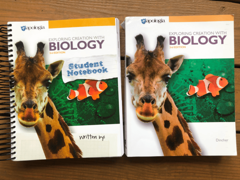 Our BudgetFriendly Homeschool Curriculum Choices for 10th Grade 4onemore