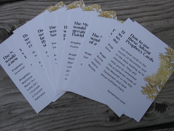 ADVENT BUNDLE - Jesus: Prophecy Fulfilled - Image 3