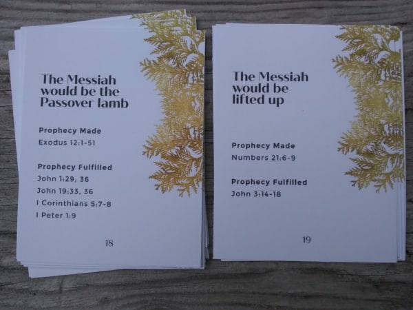 ADVENT BUNDLE - Jesus: Prophecy Fulfilled - Image 4