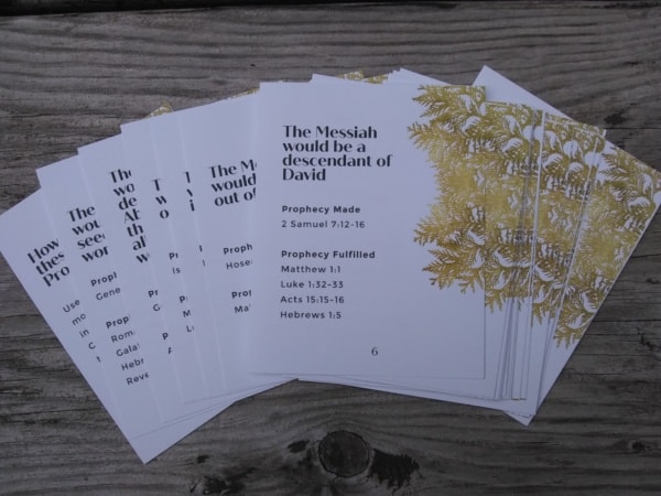 ADVENT BUNDLE - Jesus: Prophecy Fulfilled - Image 5