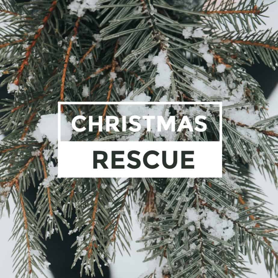 Christmas rescue
