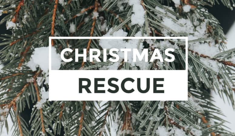 christmas rescue