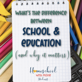 Explore the difference between school & education, based on John Taylor Gatto's Weapons of Mass Instruction, and what it means for homeschool