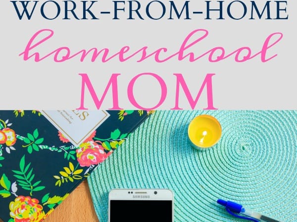 Ideas for the Work-from-home Homeschool Mom