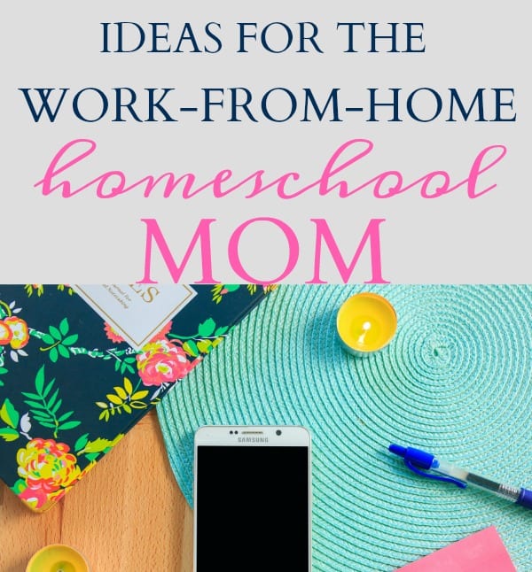 ideas for the work-from-home homeschool mom