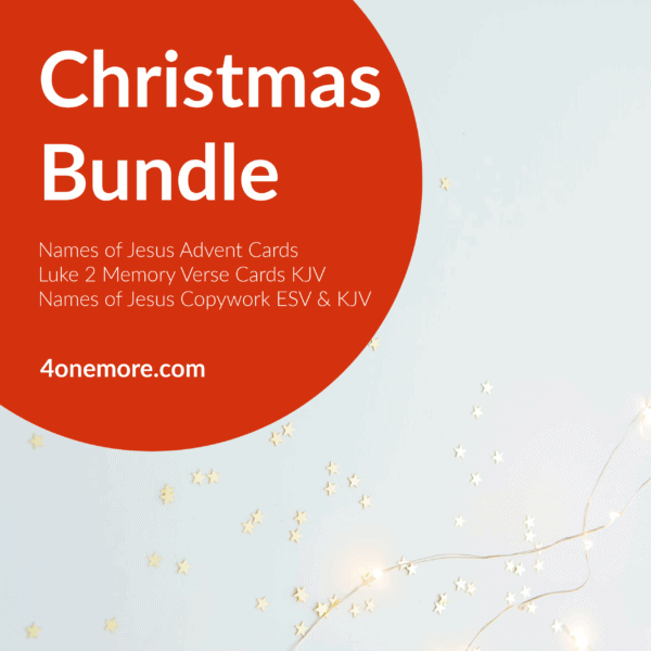 Christmas Bible Bundle