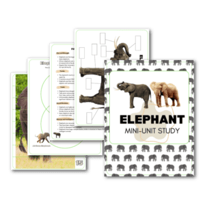 elephant mini unit study pack