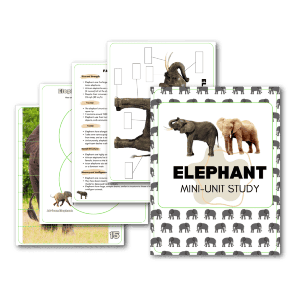 elephant mini unit study pack