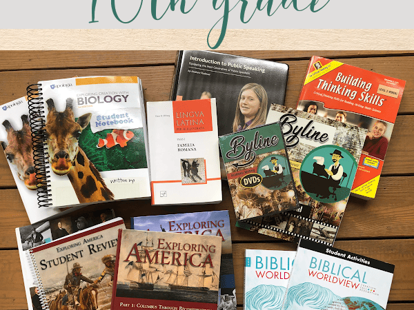 Our Budget-Friendly Homeschool Curriculum Choices for 10th Grade