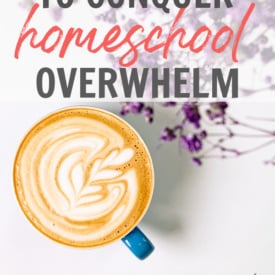 Overwhelmed and stressed with your homeschool right now? Check out these 5 strategies and actionable solutions to curb the overwhelm.