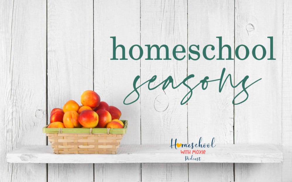 Here's how to use your natural seasonal energy in a "New Year" framework and be more productive in all the homeschool seasons. 