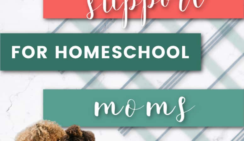 It's important to find your tribe when you're homeschooling! Here's why it's important not to homeschool alone and some action steps.