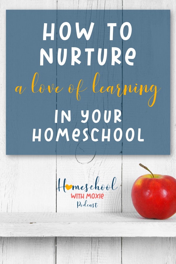 What does it mean to nurture a love of learning in your homeschool? Bekki Sayler shows us how to lean into the flourishing and fun stage.