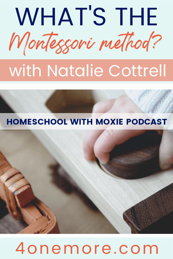 Have you heard about the Montessori Method and wondered what it's all about?  Listen in on my chat with expert Montessori guide Natalie Cottrell.