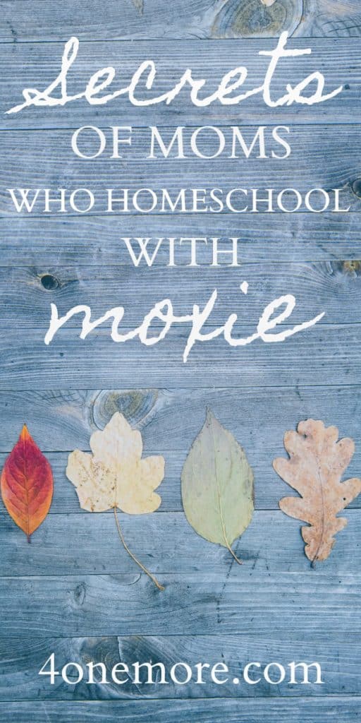 Secrets of moms who homeschool with moxie
