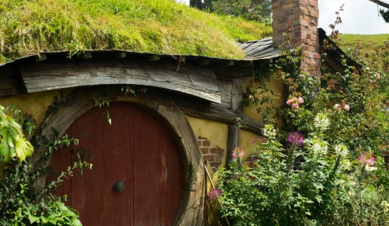 Narnia, Hobbits & Homeschool Moms