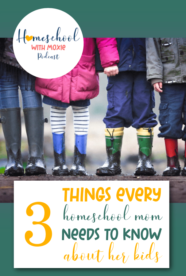 Have you asked: "What do I need to know before I homeschool the kids?" It's probably not what you think. It's much simpler.