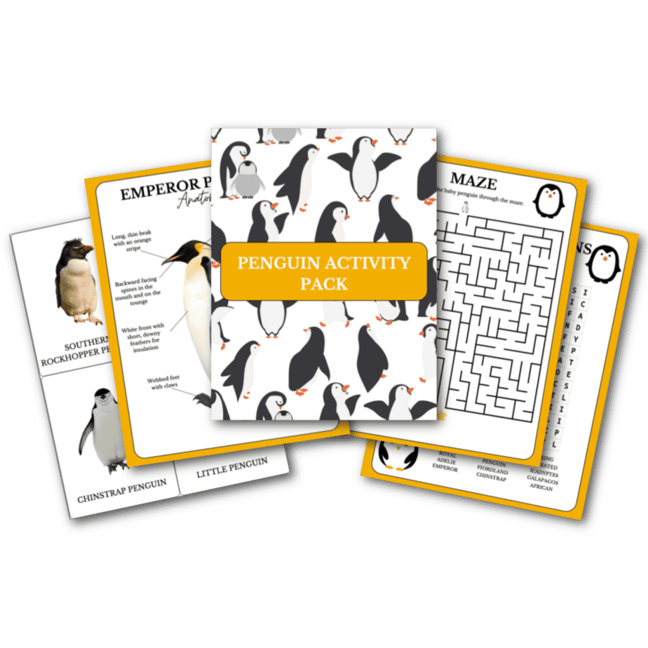 Penguin Activity Pack