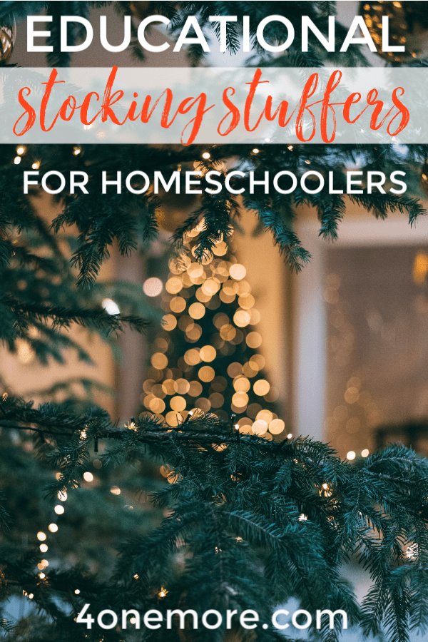 Looking for some educational stocking stuffers for your kids & teens?  Here are some options that homeschoolers will LOVE!