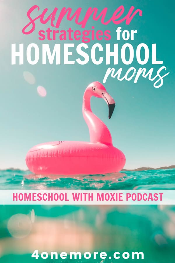 The systems you put in place in the summer will help you be more productive, effective, and organized when you start the new homeschool year.